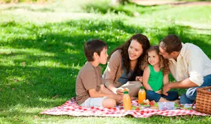 משפחה עושה פיקניק