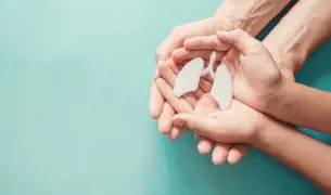 ידיים שמחזיקות ביד נגזרת נייר של ריאות - תרומת איברים